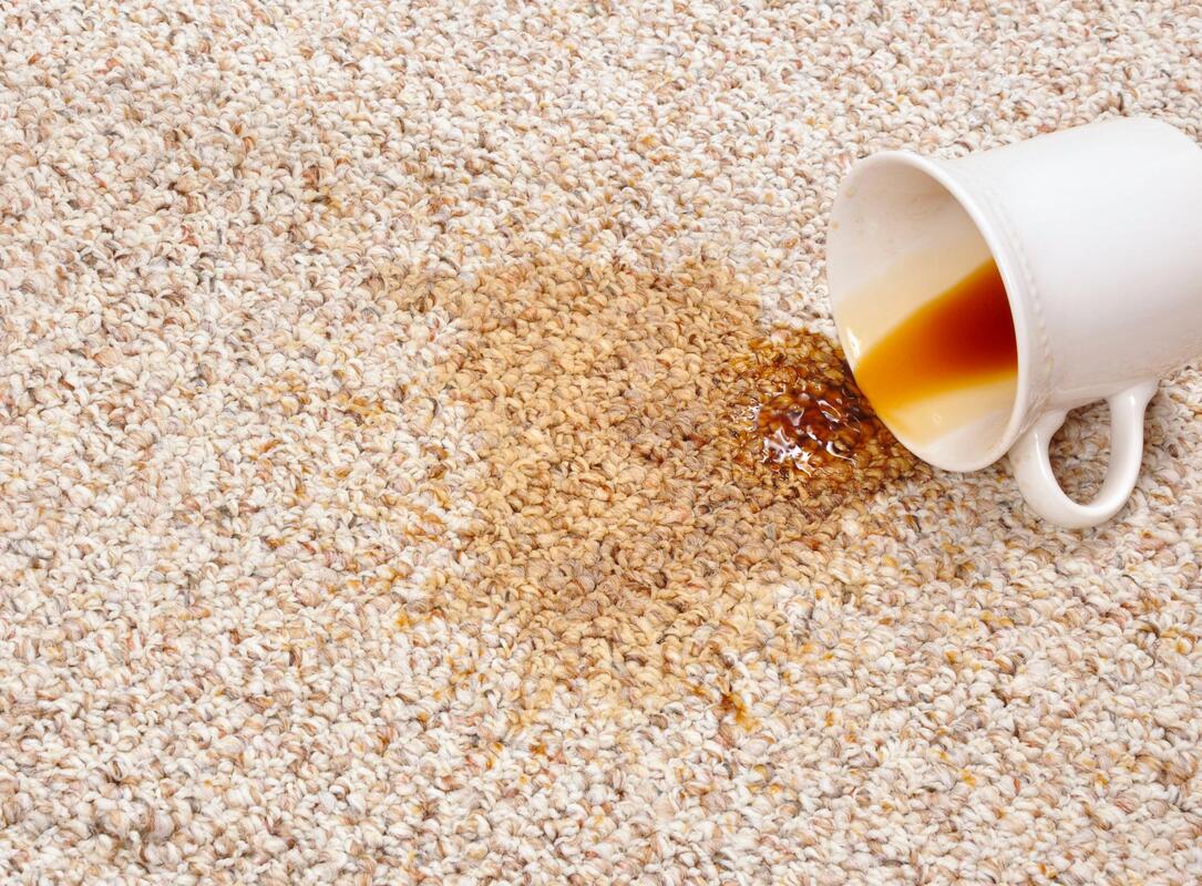 coffee spilled on the carpet